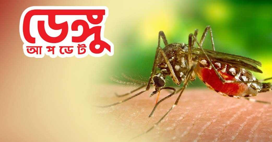 ডেঙ্গুতে ২৪ ঘণ্টায় ৮ জনের মৃত্যু, হাসপাতালে ভর্তি ১১৬২